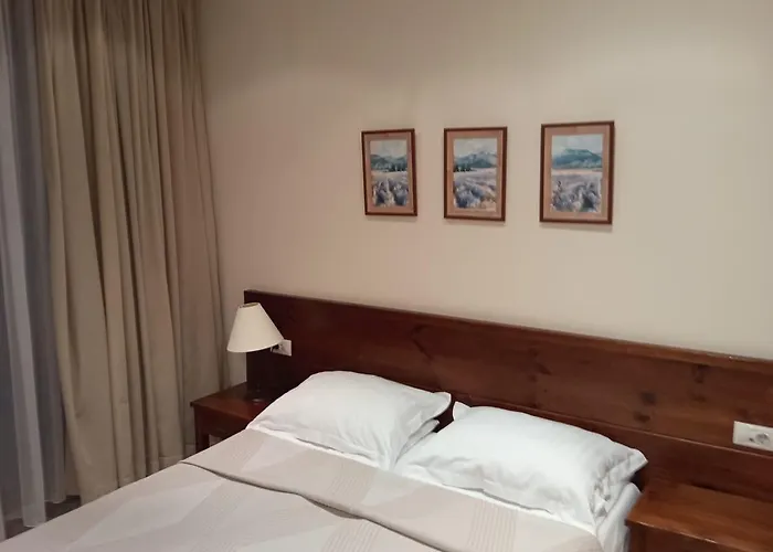 St Ivan Rilski Luxury & Free Apartment *