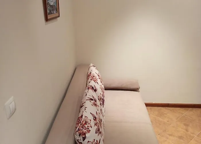 St Ivan Rilski Luxury & Free 公寓 班斯科